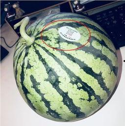 21年网红吃瓜,娱乐圈风云再起