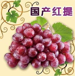 娱乐吃瓜酱葡萄娱乐