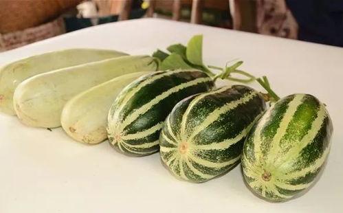 网红瓜在哪吃免费