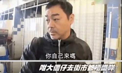 疫情期间娱乐圈怎么吃瓜